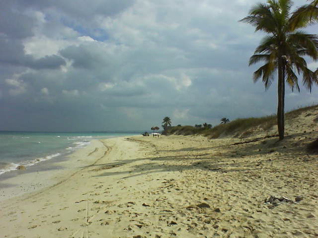 Mi Cayito